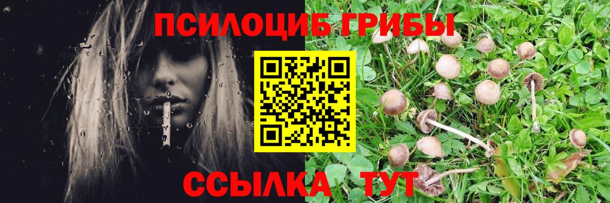 Галлюциногенные грибы мухоморы Воткинск